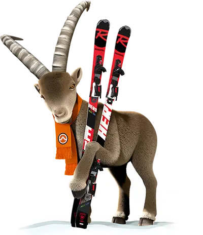 Herman, onze mascotte, gaat ook op wintersport